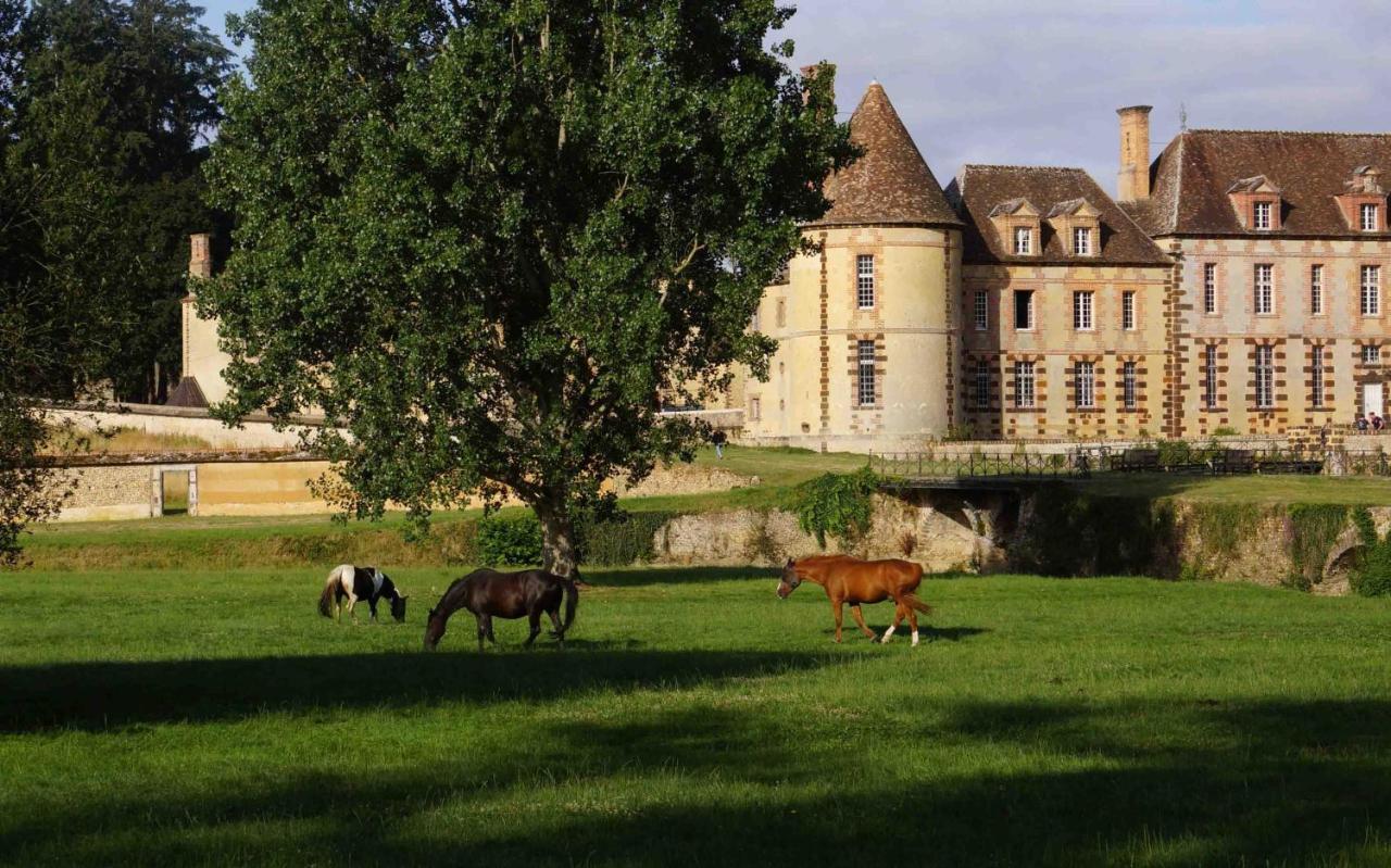Chateau De La Riviere Pontgouin Dış mekan fotoğraf